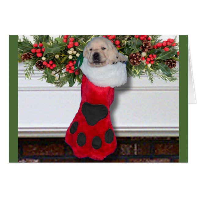 Negro de la semana 3 de la gratitud (Anverso (Horizontal))