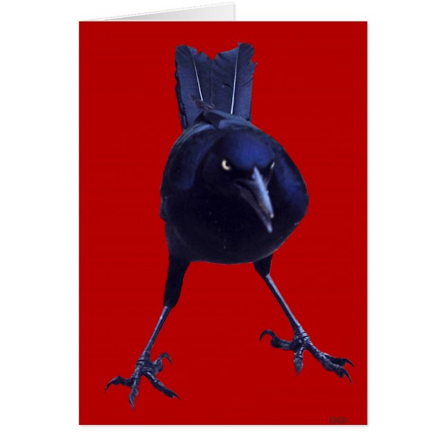 Negro en rojo (Frente)