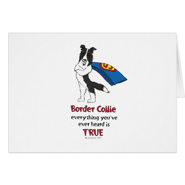 Negro estupendo del border collie (Anverso (Horizontal))