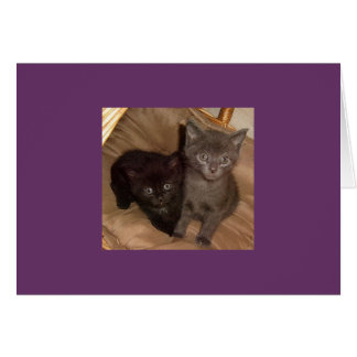 Negro pequeño y gris pequeño