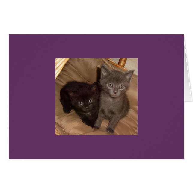 Negro pequeño y gris pequeño (Anverso (Horizontal))