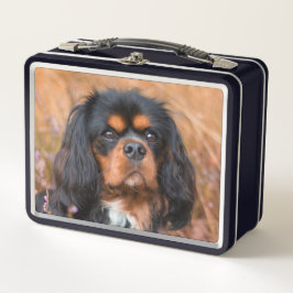 Negro y Tan Cavalier Rey Charles Spaniel Dog