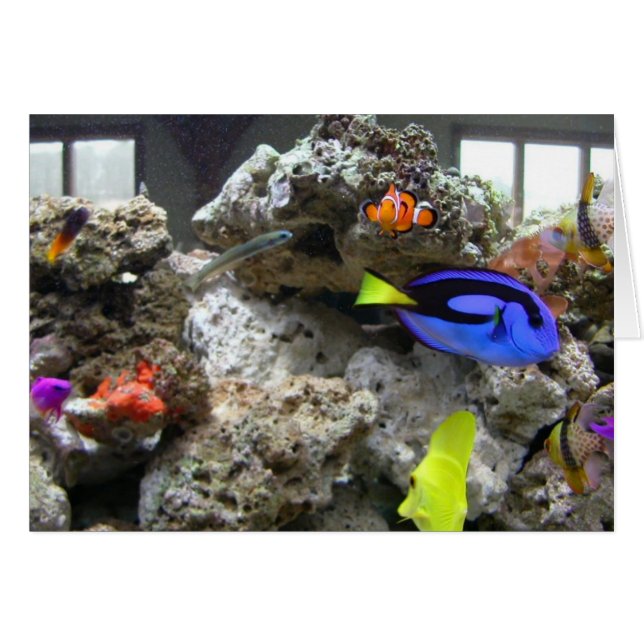 Nemo con su cuadrilla (Anverso (Horizontal))