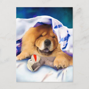 NEO tarjeta postal para mascar el perro