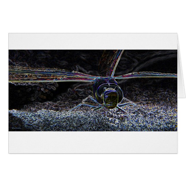 Neón 2 de la libélula (Anverso (Horizontal))