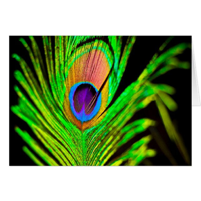 Neon Colors Peacock Feather (Anverso (Horizontal))