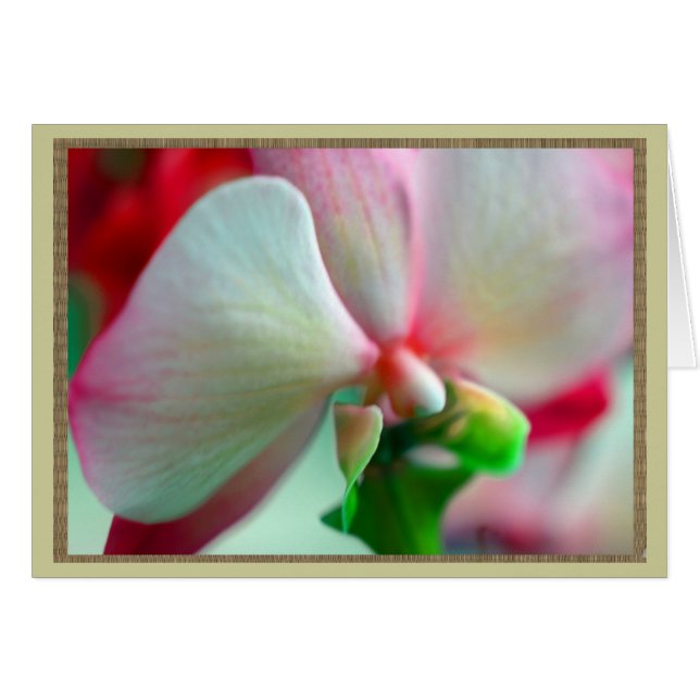 Neon Orchid (Anverso (Horizontal))