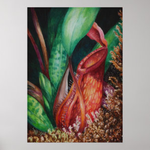 Nepenthes del poster del arte de la acuarela de