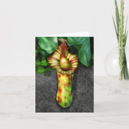 Nepenthes, Ilustracion de planta de cocina