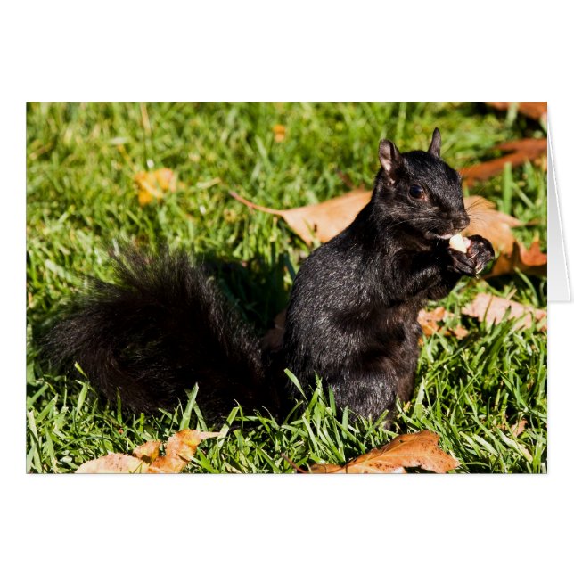 Nervioso Pequeño Hombre (Anverso (Horizontal))