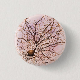 Neurona de Hippocampal - botón y Pin