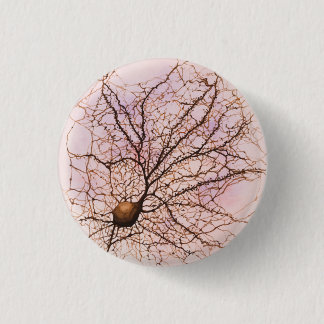 Neurona de Hippocampal - botón y Pin