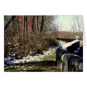 Nevadas en el Cherohala