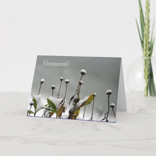 Nevado proviene la tarjeta de Navidad (Anverso)