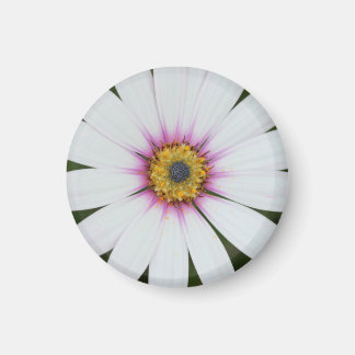 Nevera floral imán