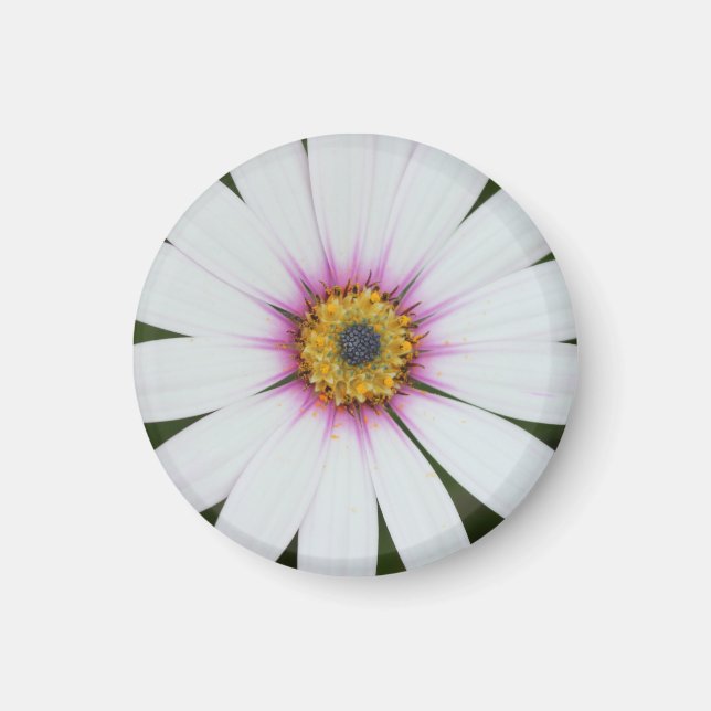 Nevera floral imán (Frente)