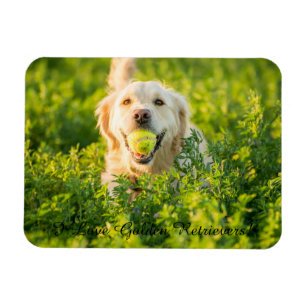 Nevera imán con Golden Retriever y eslogan