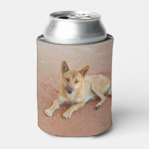 Neverita de bebidas australiano del dingo