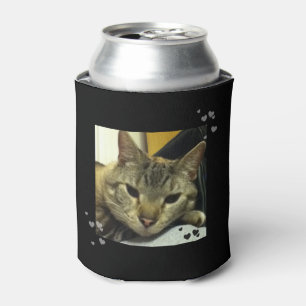 Neverita de bebidas siamés soñoliento del gato d