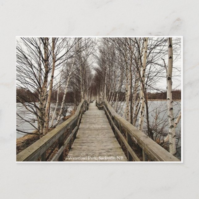 New Brunswick, Canadá Postal (Anverso)