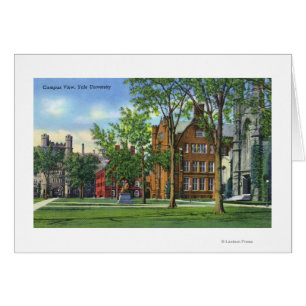 New Haven, opinión del campus universitario de