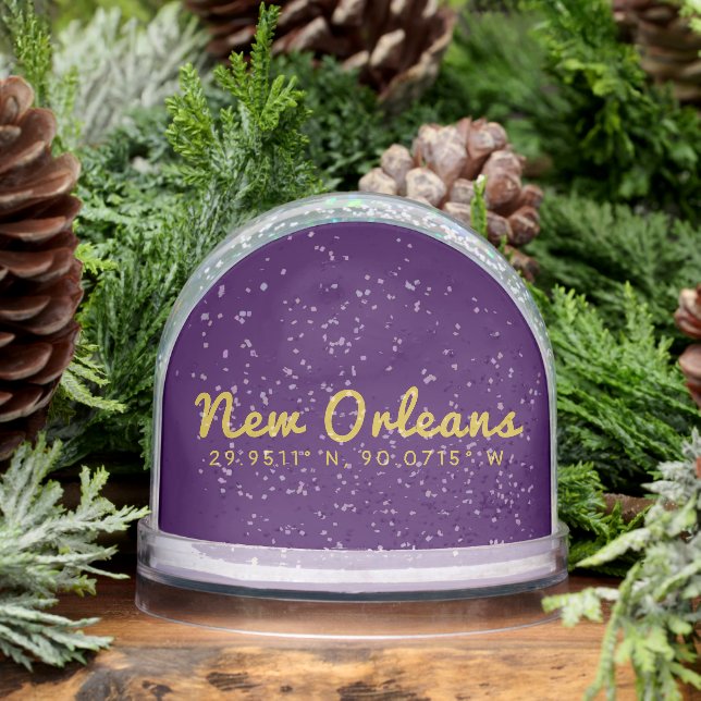 New Orleans Coordinates (Invierno)