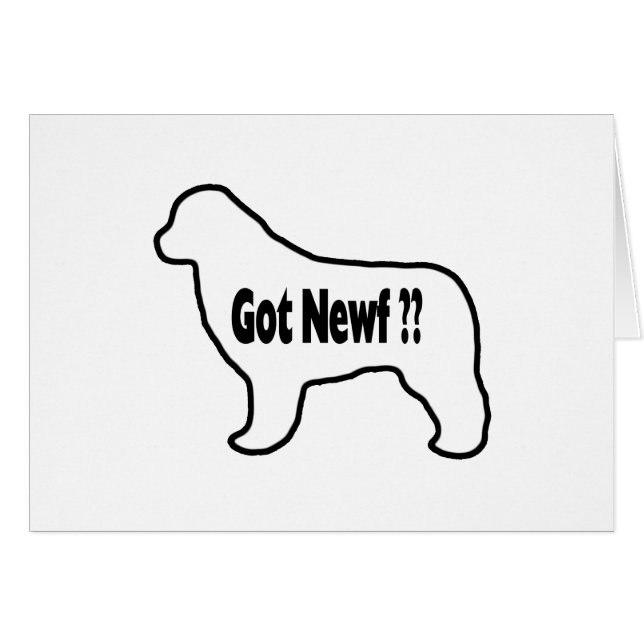 Newf conseguido (Anverso (Horizontal))