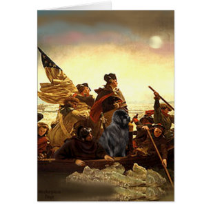 Newfie 1 - El cruce de Washington......