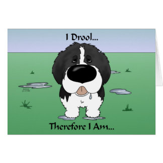 Newfie (Landseer) - Drool