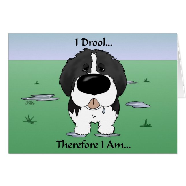 Newfie (Landseer) - Drool (Anverso (Horizontal))