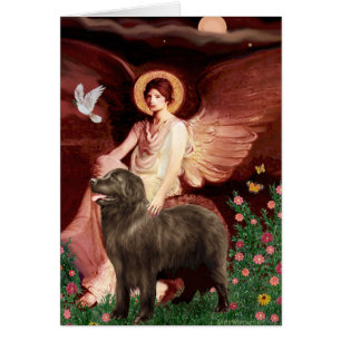 Newfie (marrón) - Ángel sentado