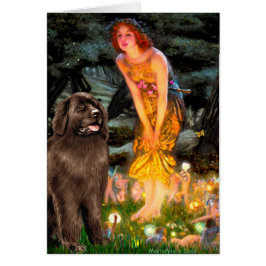 Newfie (marrón) - Medianoche