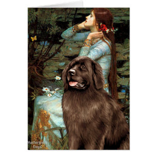 Newfie (marrón) - Ophelia Sentada