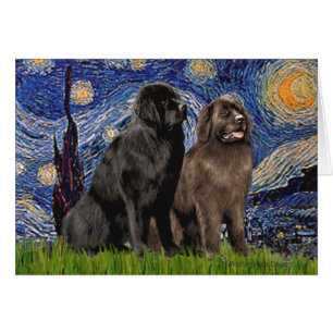 Newfie Pair - Noche estrellada