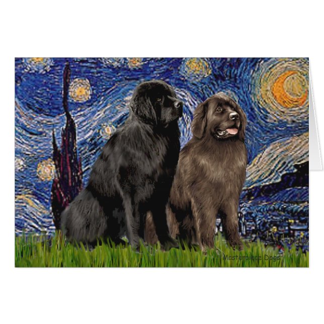 Newfie Pair - Noche estrellada (Anverso (Horizontal))