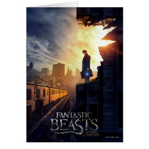 NEWT SCAMANDER™ en edificio destruido