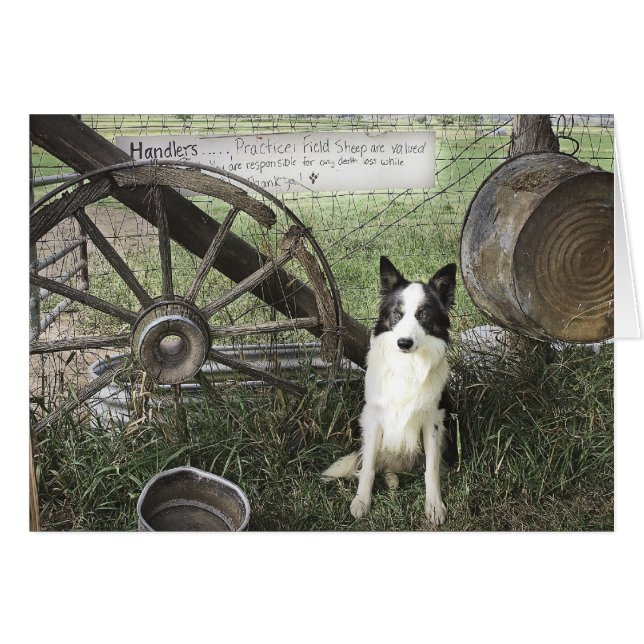 newtpraticefielddragonizer4x6 (Anverso (Horizontal))