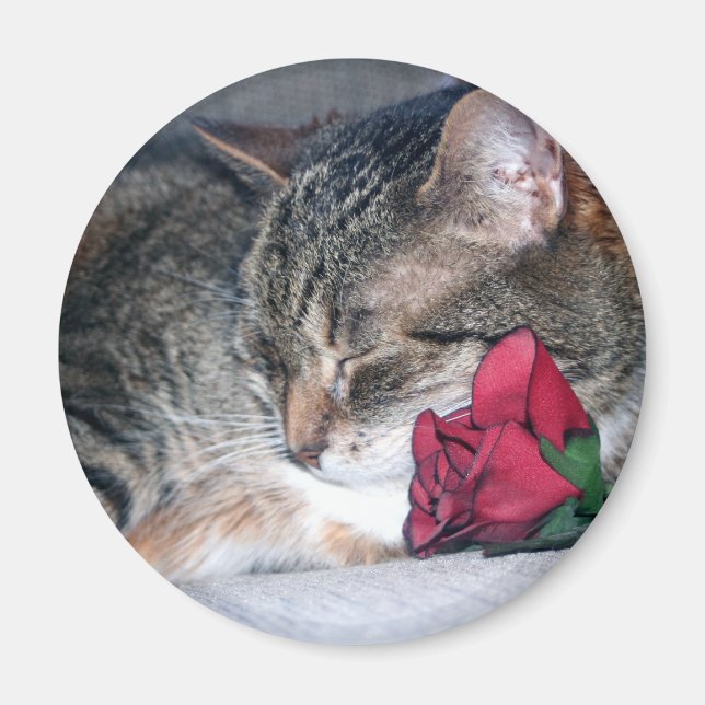 Nicky y un imán Rosa (Frente)