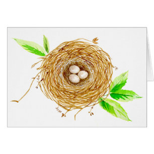 Nido de aves acuarelas con 3 huevos