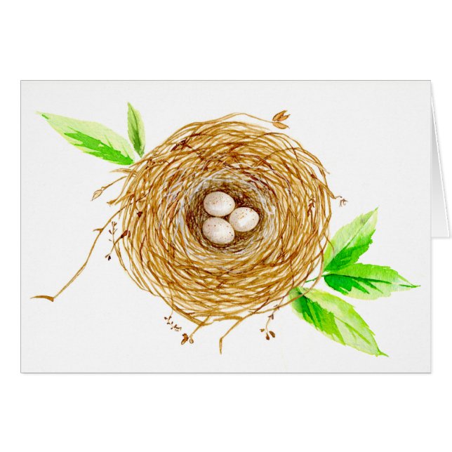 Nido de aves acuarelas con 3 huevos (Anverso (Horizontal))