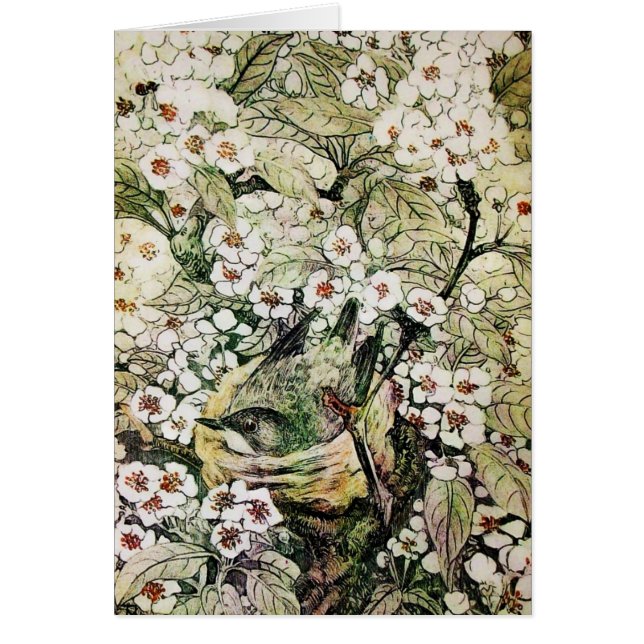 NIDO DE AVES,ÁRBOL CON FLORES DE PRIMAVERA BLANCA  (Frente)