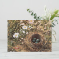 Nido de pájaro y Rosas de perros por John William 