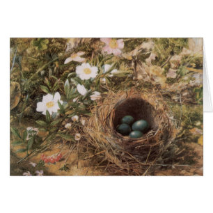 Nido de Pájaros y Rosas de Perro por John William 