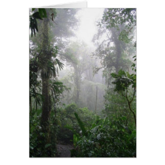 Niebla de la mañana