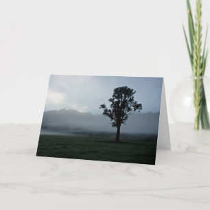 Niebla de la mañana • Tarjeta de felicitación