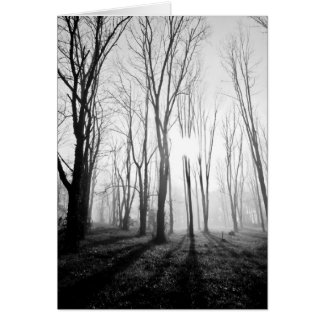 Niebla del bosque
