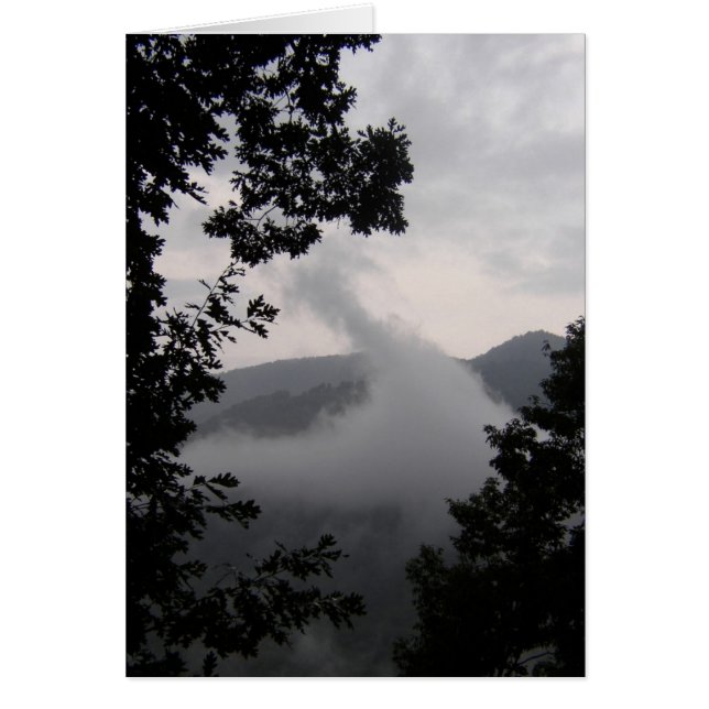 Niebla en ascenso (Frente)