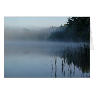niebla en la garra de oso