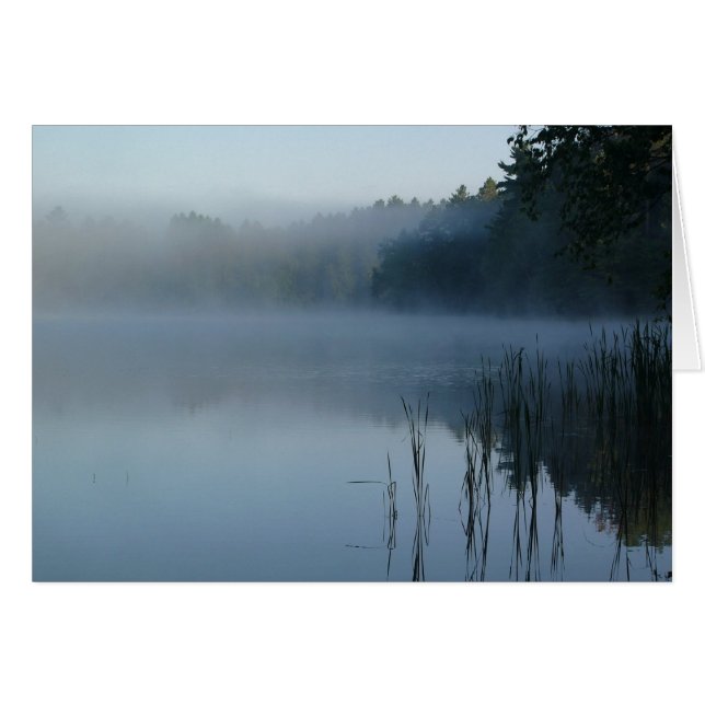 niebla en la garra de oso (Anverso (Horizontal))