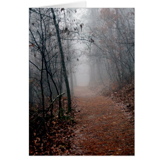 Niebla inviernos - No hay fin a la vista en los re (Frente)